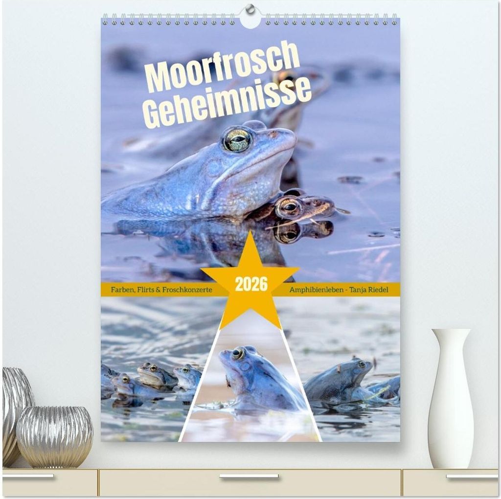 Moorfrosch Geheimnisse – Farben, Flirts & Froschkonzerte - Tanja Riedel (hochwertiger Premium Wandkalender 2026 DIN A2 hoch), Kunstdruck in Hochg...