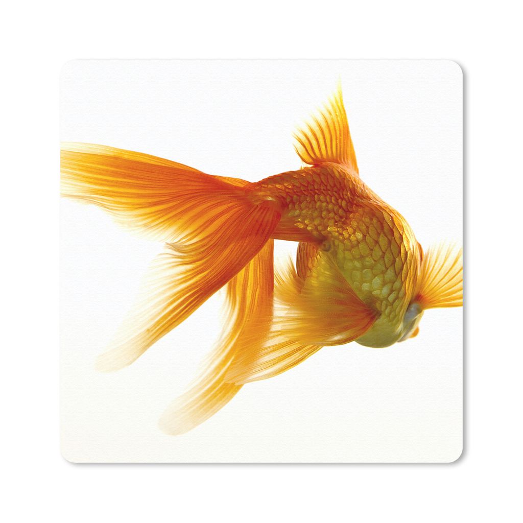 MuchoWow Mauspad Mousepad Goldfisch - Meerestiere - Weiß 20x20 cm - Mousepads - Maus Mat - Pad - Mausunterlage - Desk Mat - Bureauartikeln