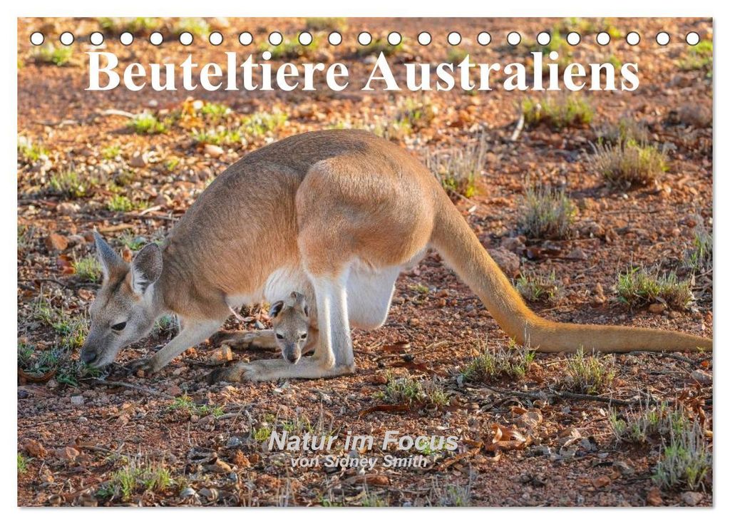 Beuteltiere Australiens (Tischkalender 2027 DIN A5 quer), CALVENDO Monatskalender