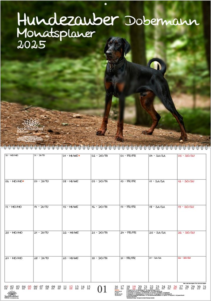 Hundezauber Dobermann Planer DIN A2 Kalender für 2025 Hunde Welpen - Seelenzauber