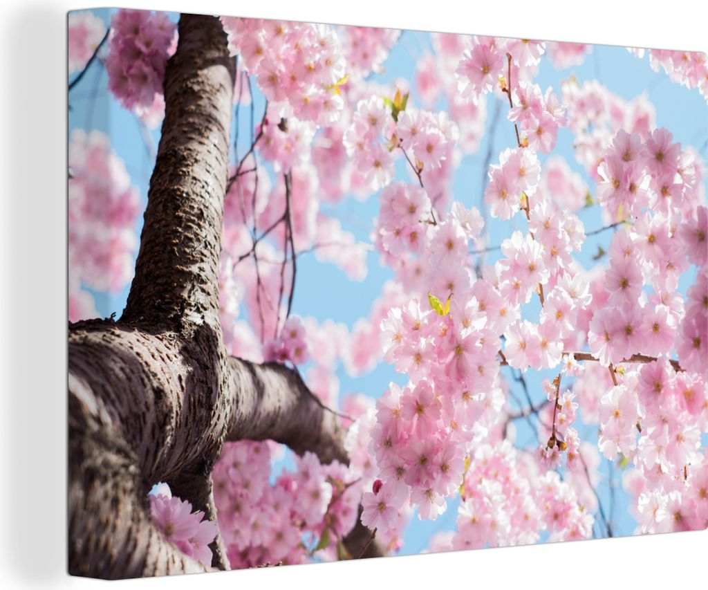 OneMillionCanvasses - Leinwandbilder - 150x100 cm, Blumen - Sakura - Baum, Wandbilder Kunstdruck Wanddekoration