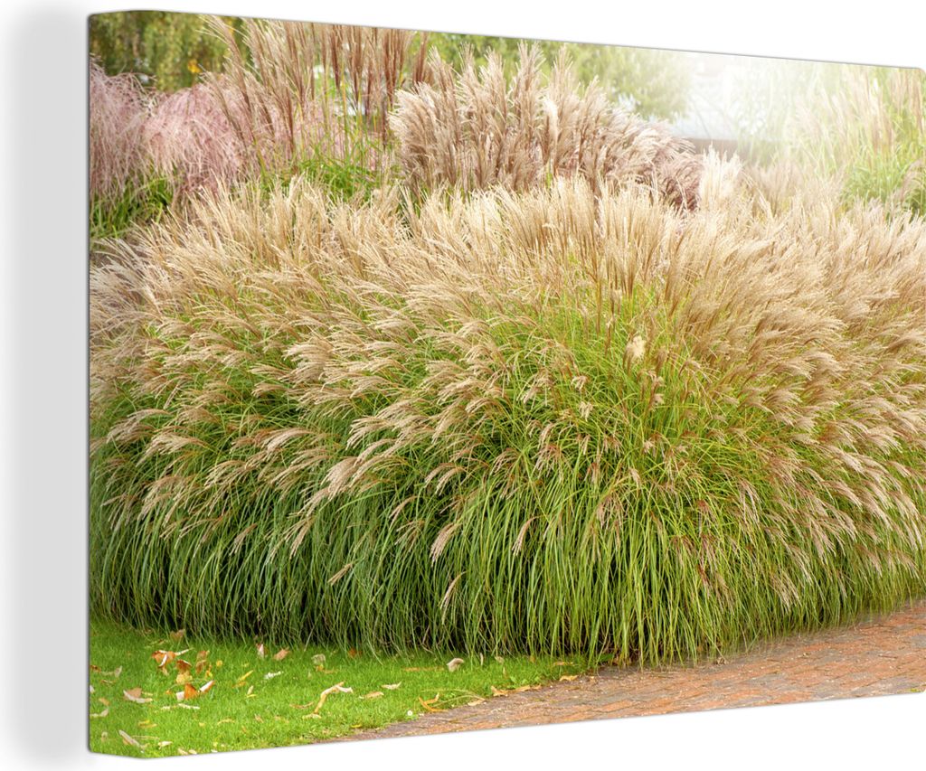 OneMillionCanvasses - Leinwandbilder - 140x90 cm, Eine Menge schönes Schilf, Wandbilder Kunstdruck Wanddekoration