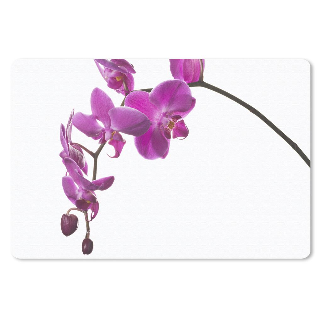 MuchoWow Mauspad Mousepad Orchidee vor weißem Hintergrund 27x18 cm - Mousepads - Maus Mat - Pad - Mausunterlage - Büroartikel - Desk Matten