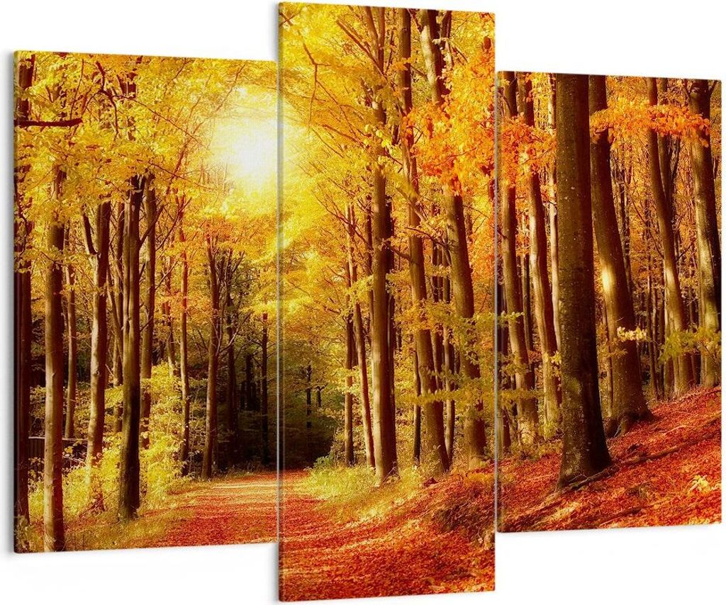 Bild auf Leinwand - Leinwandbild - Pfad Blätter Wald - 130x100cm - Wand Bild - Wanddeko - Leinwanddruck - Bilder - Kunstdruck - Wanddekoration - L...