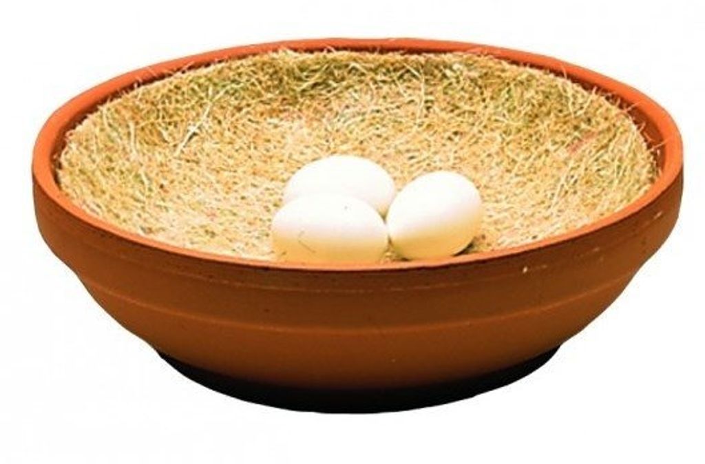Natural Coussinets pour pigeons 10 pièces Image du produit 