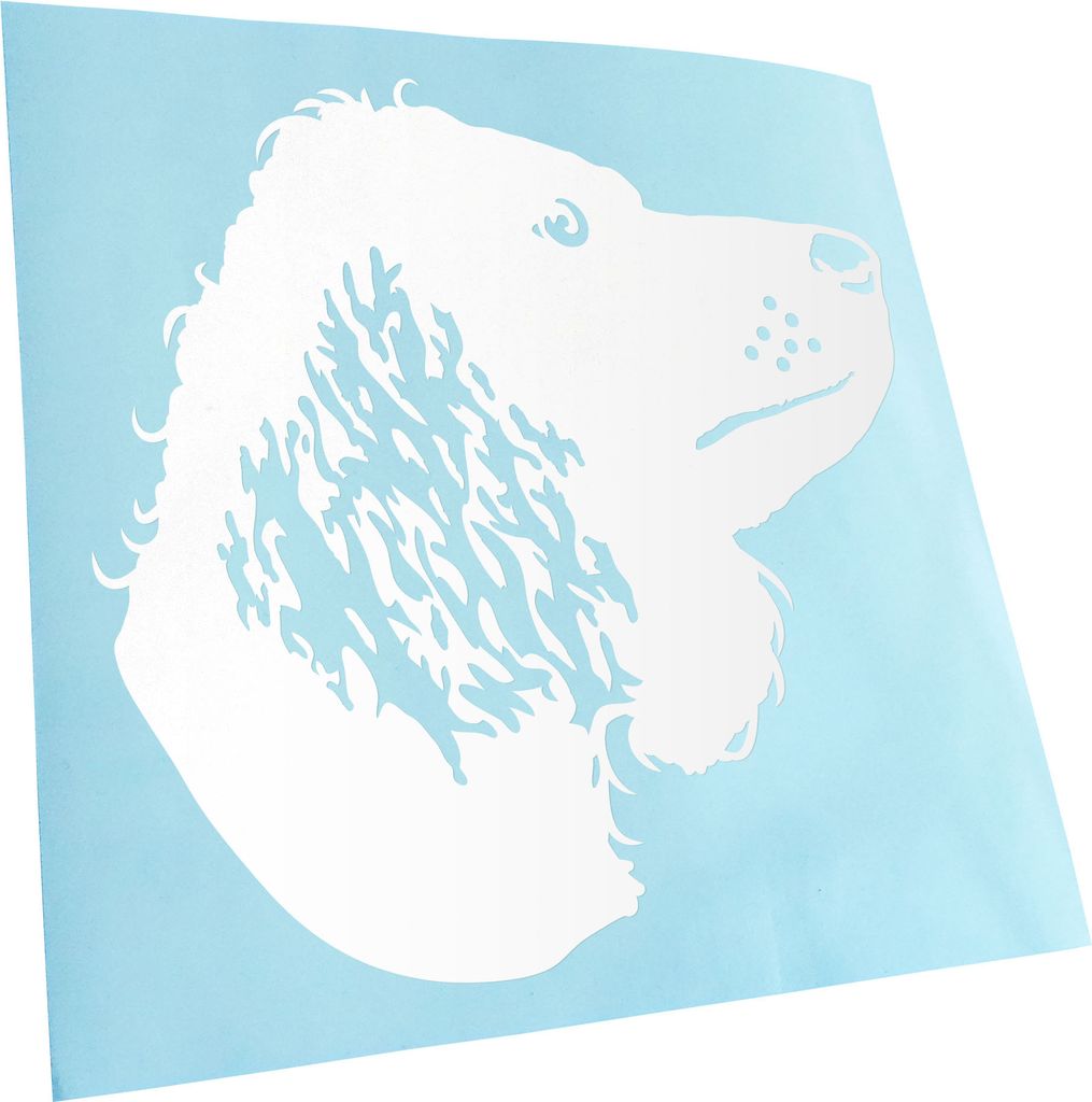 Kiwistar - Autoaufkleber - American Water Spaniel - Weiss - 40x40cm - Aufkleber für Auto, Laptop, Fahrrad, LKW, Motorrad mehrfarbig JDM Decal Racing
