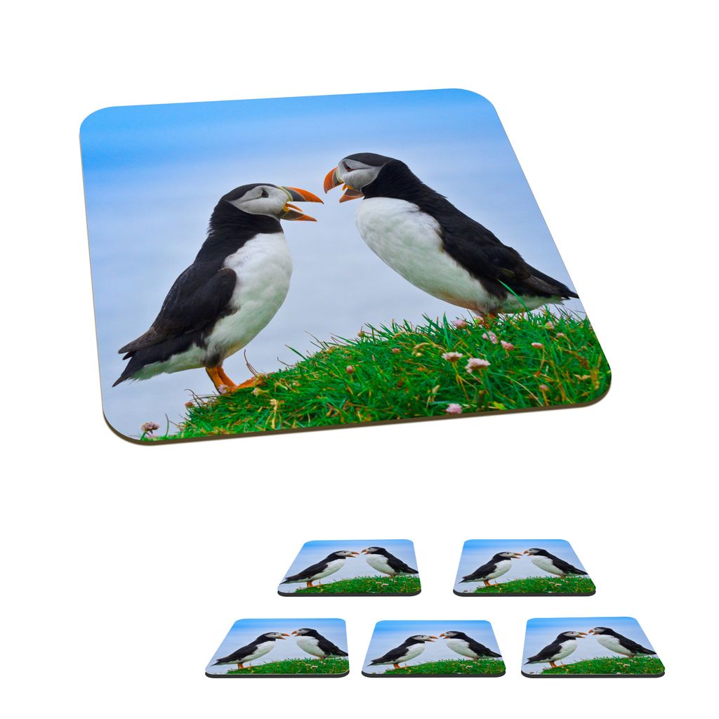 KitchenYeah Glasuntersetzer Quadratisch 6er Set Papageientaucher - Gras - Blau 10x10 cm Untersetzer für Gläser - Getränkeuntersetzer - Tischpl...