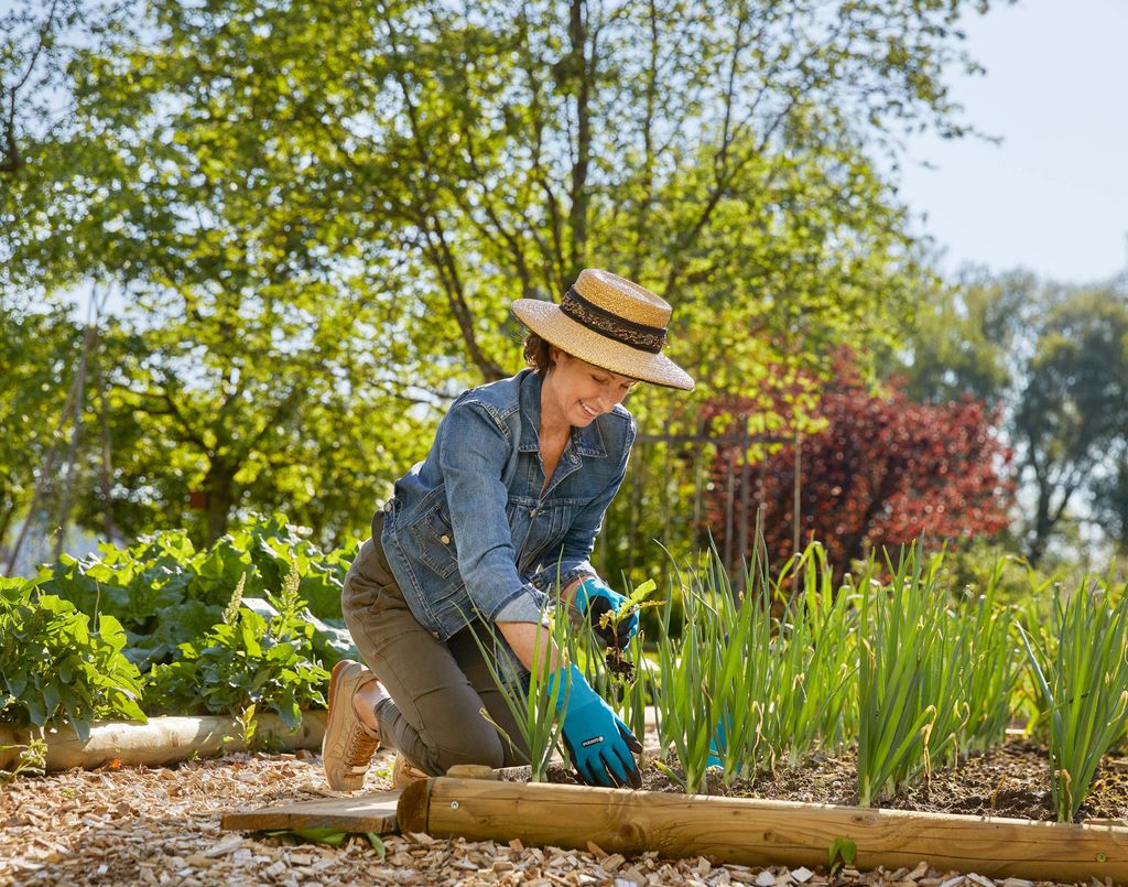 Gardena 11512-20, Gartenhandschuhe, Schwarz, Blau, L, Produktbild 