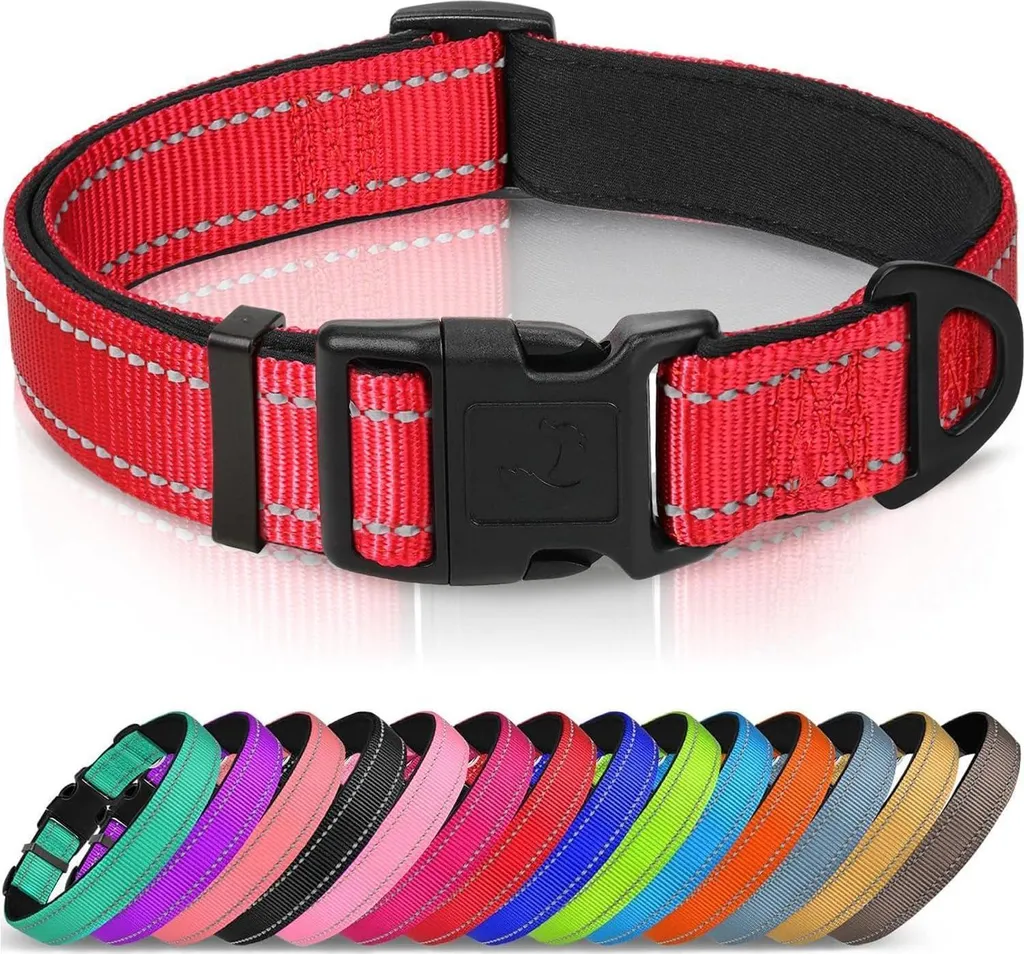Joytale XS Rosso: Il Collare per le Piccole Grandi Avventure del tuo Cane