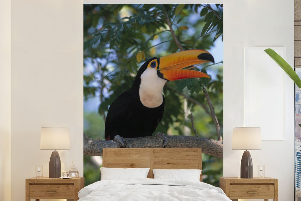 MuchoWow Fototapete für Wohnzimmer oder Schlafzimmer Wandtapete Vinyl Motivtapete Verspielter Tukan auf einem Ast in den Bäumen - 200x300 cm - ...