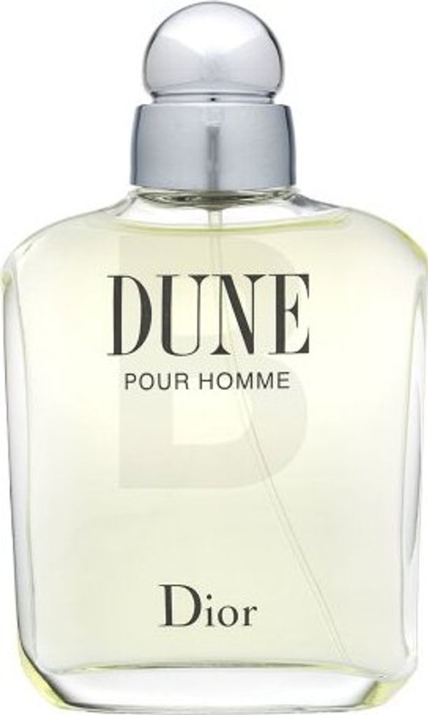 Christian Dior Dune pour Homme eau de Toilette für Herren 100 ml