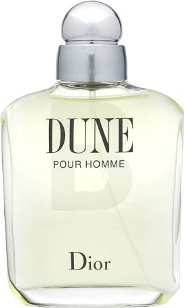 Dior Dune pour Homme Eau de Toilette 100 ml - Parfum Boisé pour Homme