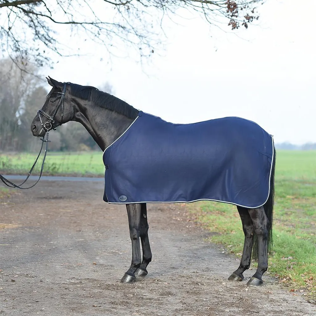 Chemise de présentation Busse Show marine et argent pour les concours