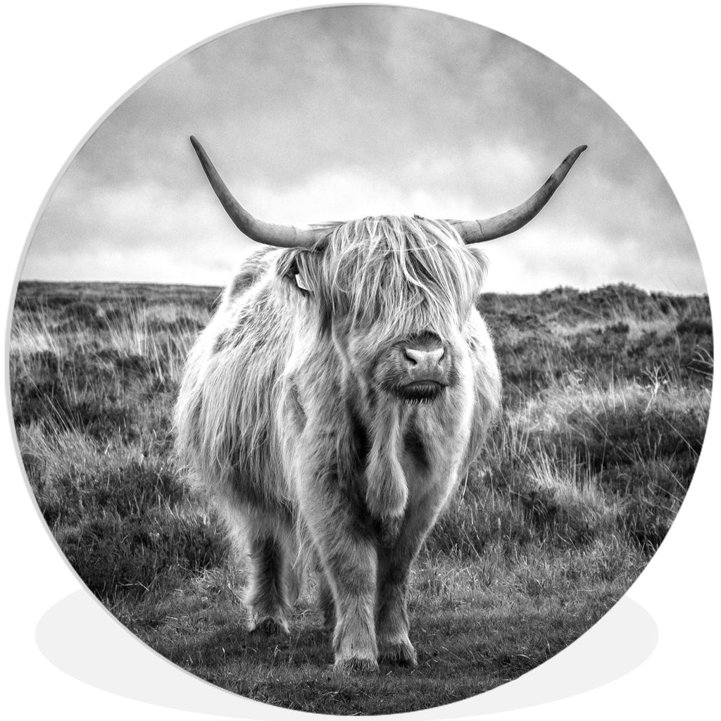 MuchoWow Rundes Wandbild - Runde Bilder Schottischer Hochländer - Tiere - Wolken - Kuh - Natur Ø 90 cm Kreis Wanddekoration Kunststoff - Wandkr...