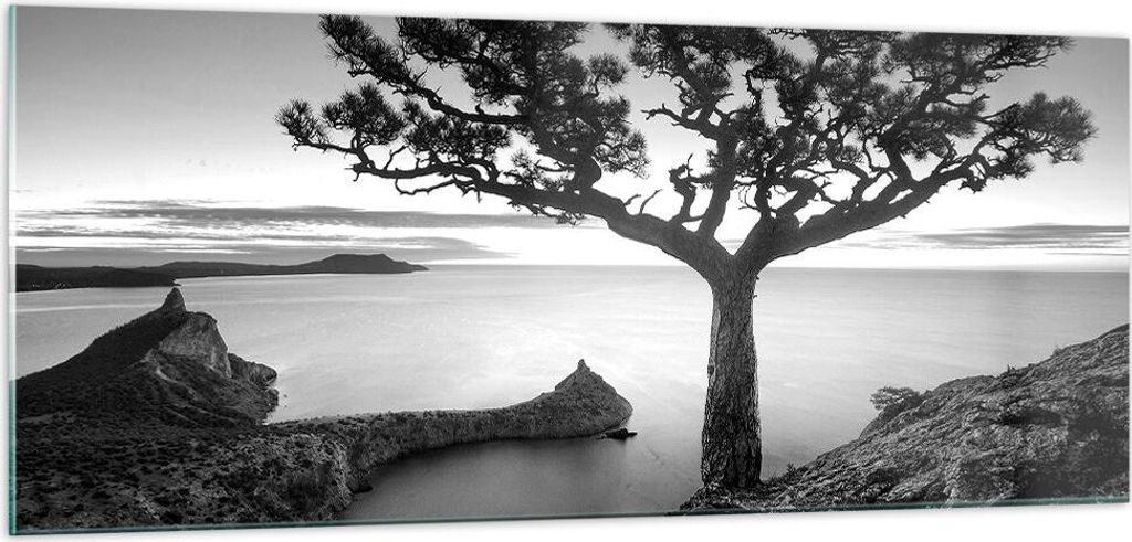 Bilder auf glas - Einteilig - Baum Schwarzweiß Ansicht - 100x40cm - Glasbilder - Wandbilder - Bilder - zum Aufhängen bereit - Wanddekoration aus ...