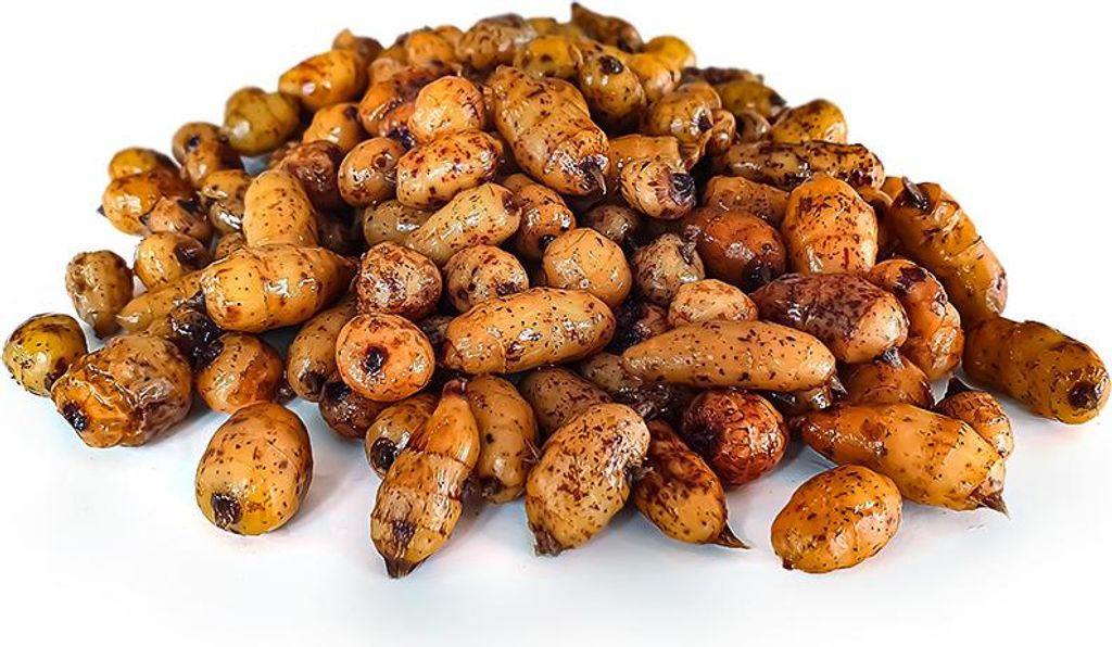 XXL Tigernüsse Angelfertig 12-35mm 5KG | Karpfen futter