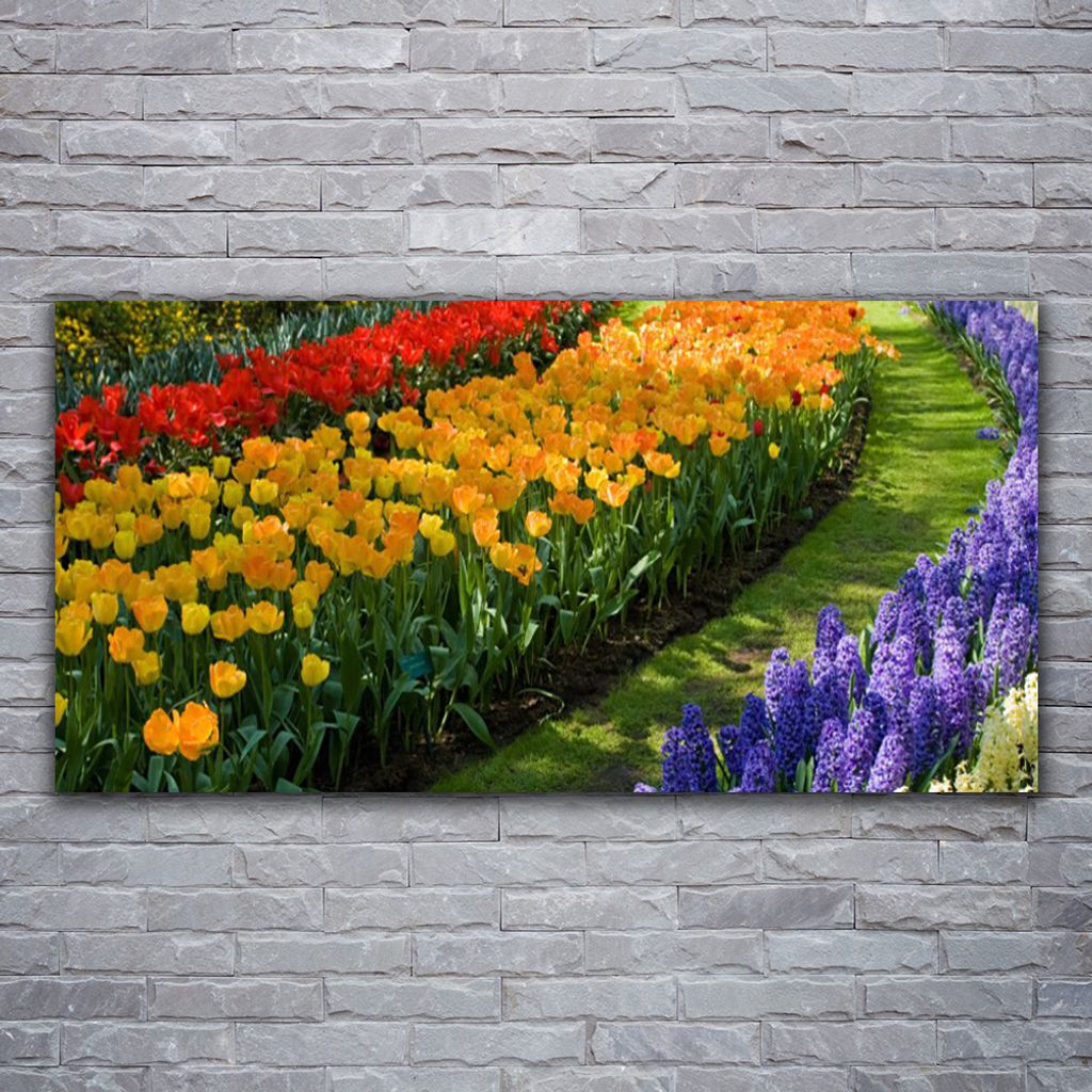 Glasbilder 120x60 Wandbild Druck auf Glas Blumen Pflanzen Produktbild 