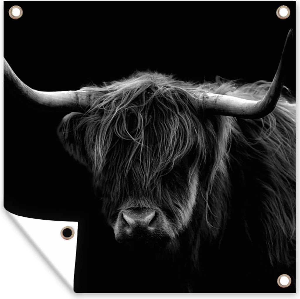 MuchoWow 100x100 cm Outdoor-Poster Gartendeko Sichtschutz Garten Poster für den Garten Schottischer Highlander - Hörner - Schwarz - Tiere - Nat...