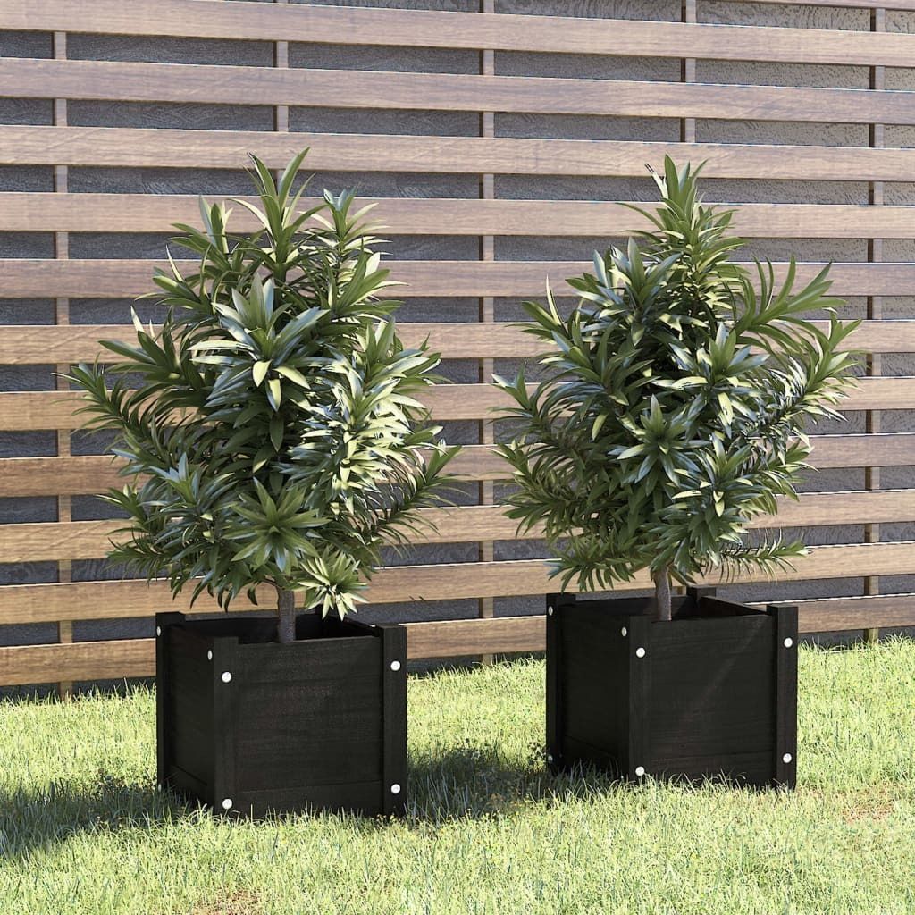 Maison Exclusive - Pflanzkübel 2 Stk. Schwarz 31x31x31 cm Massivholz Kiefer