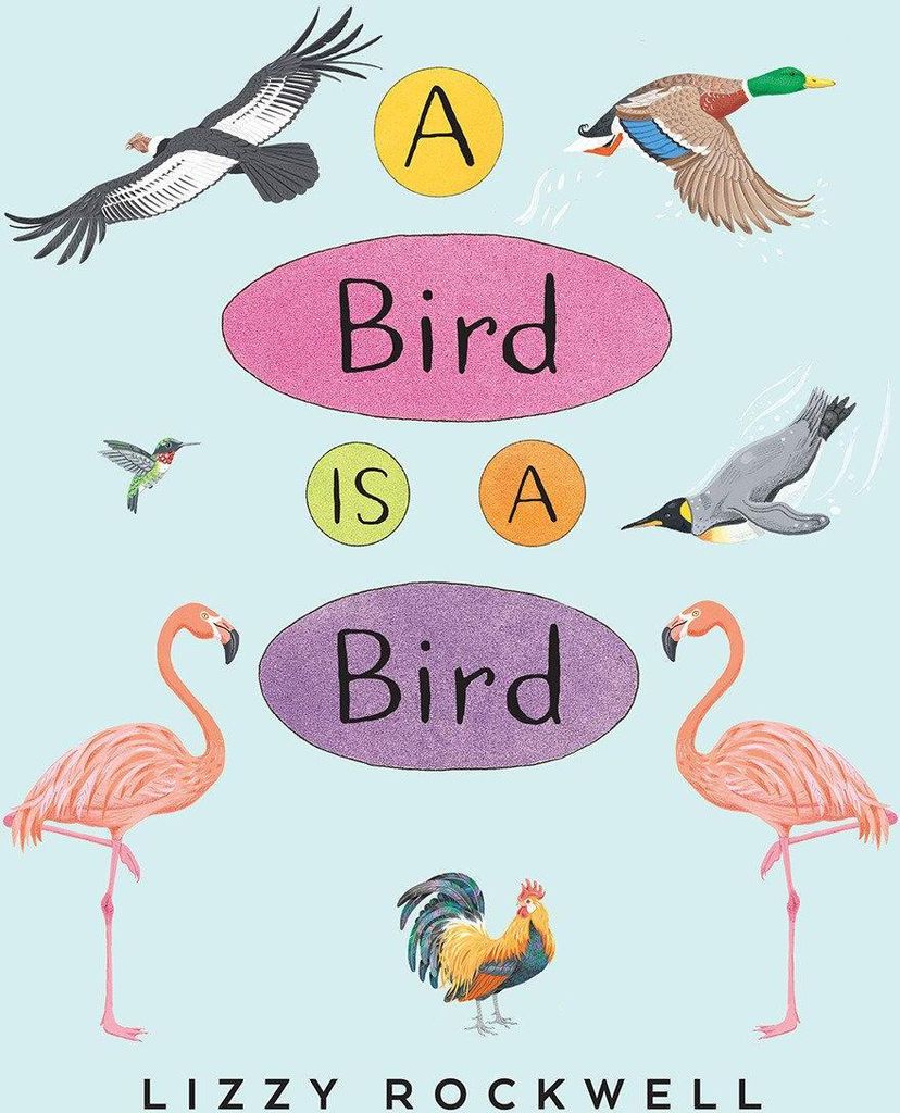 A Bird Is a Bird