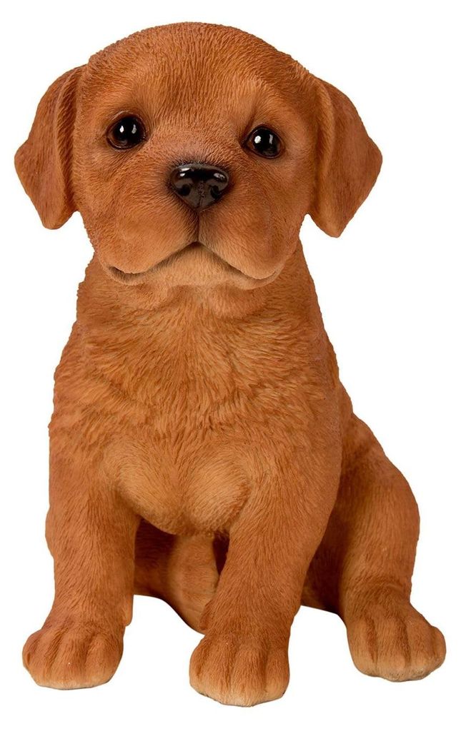 Pet Pals Fuchsroter Labradorwelpe | Harzdekoration für Haus oder Garten | PP-FRL-F