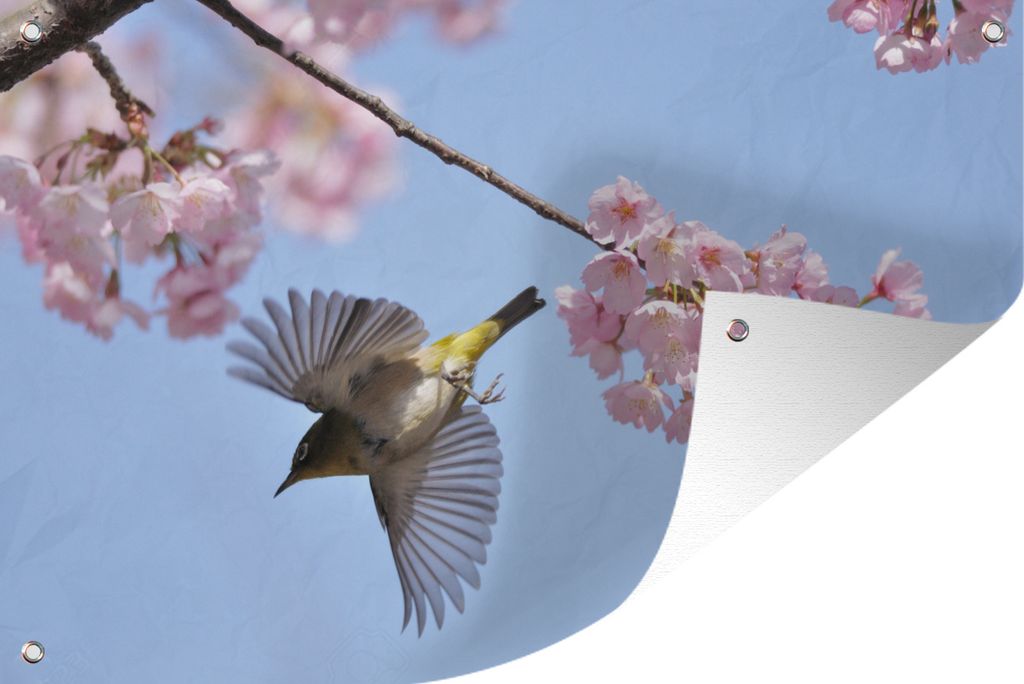 MuchoWow 120x80 cm Outdoor-Poster Gartendeko Sichtschutz Garten Poster für den Garten Kirschblüte und Vogel