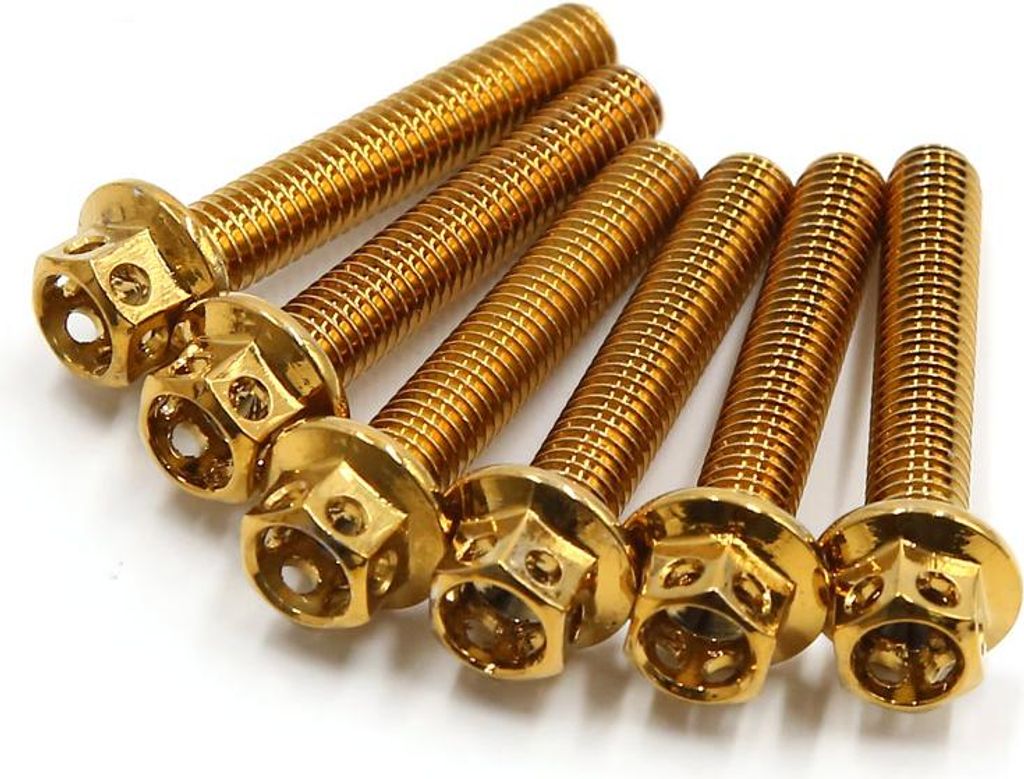 6 Stück Gold Tone Edelstahl Motorrad Schrauben Schrauben Fastener M6 x 35mm DE de