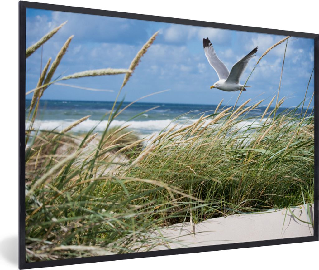 MuchoWow MuchoWow Gerahmtes Poster Strand - Vogel - Pflanzen 90x60 cm - Poster mit zchwarzem Bilderrahmen - Fotorahmen - Foto-Plakat