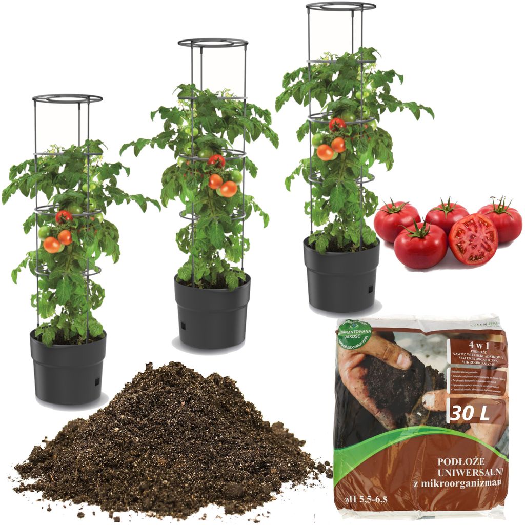 3x Tomatenpflanze aus Kunststoff Pflanzkübel 12 L + Produktbild 