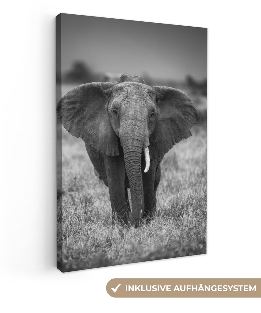 OneMillionCanvasses - Leinwandbilder - 90x140 cm, Elefant - Tiere - Safari - Wildtiere, Wandbilder Kunstdruck Wanddekoration - Foto auf Leinwand ...