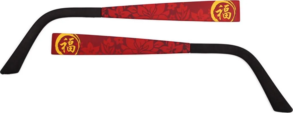 Eye Max 5462.02 Branche interchangeable contre l'usure des lunettes