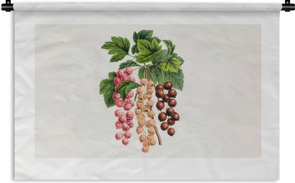 MuchoWow Wandteppich Wandbehang Lebensmittel - Beeren - Pflanze 150x100 cm Tapisserie Dekoration Wandtuch - Waschbar - Tapisserien - Wand-Decke