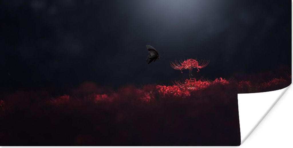 MuchoWow Poster Schmetterlinge - Blumen - Insekten 120x60 cm - Bild
