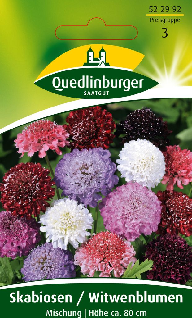 Skabiose, Witwenblume Produktbild 