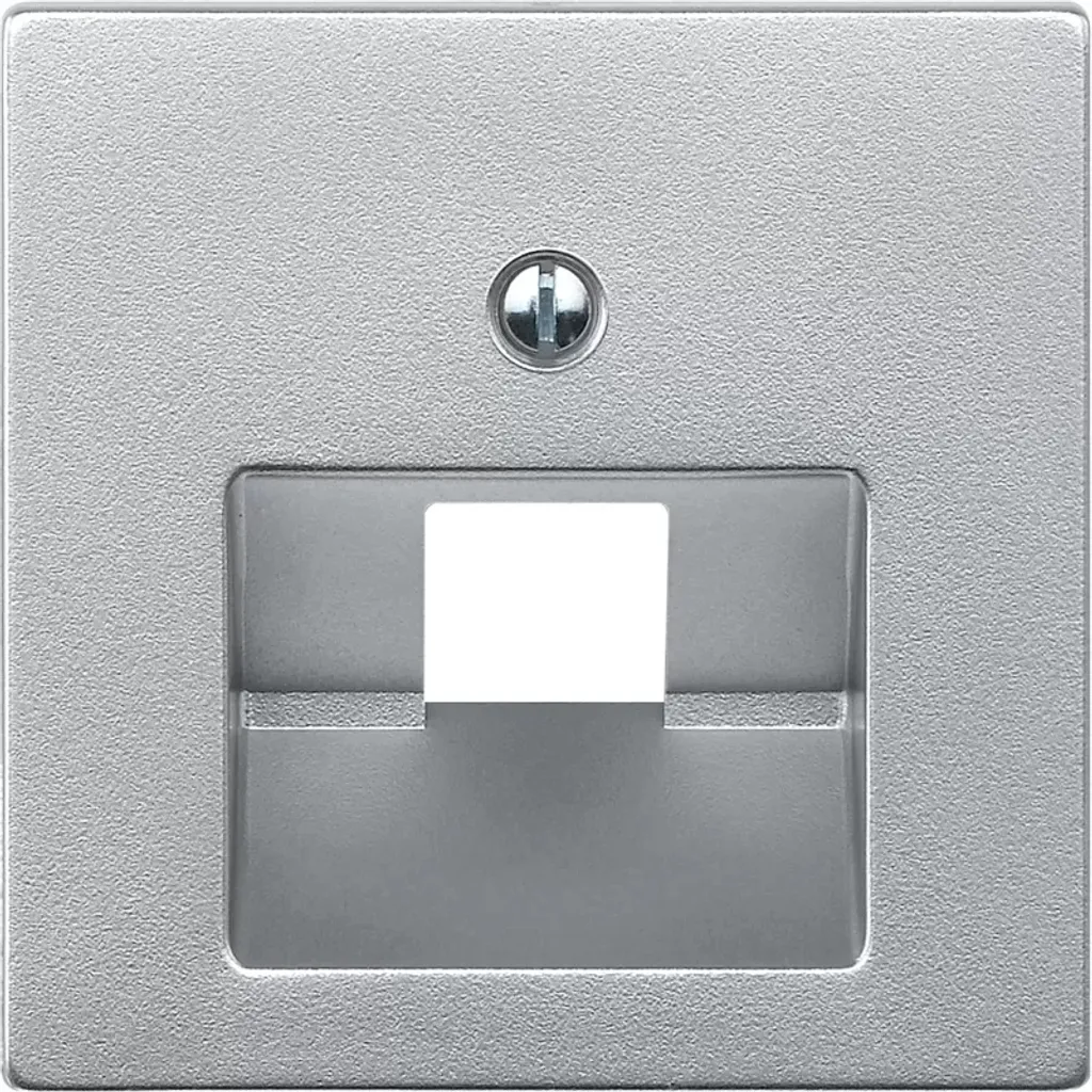 Merten 298360 Plaque centrale Alu pour prise de courant et interrupteur