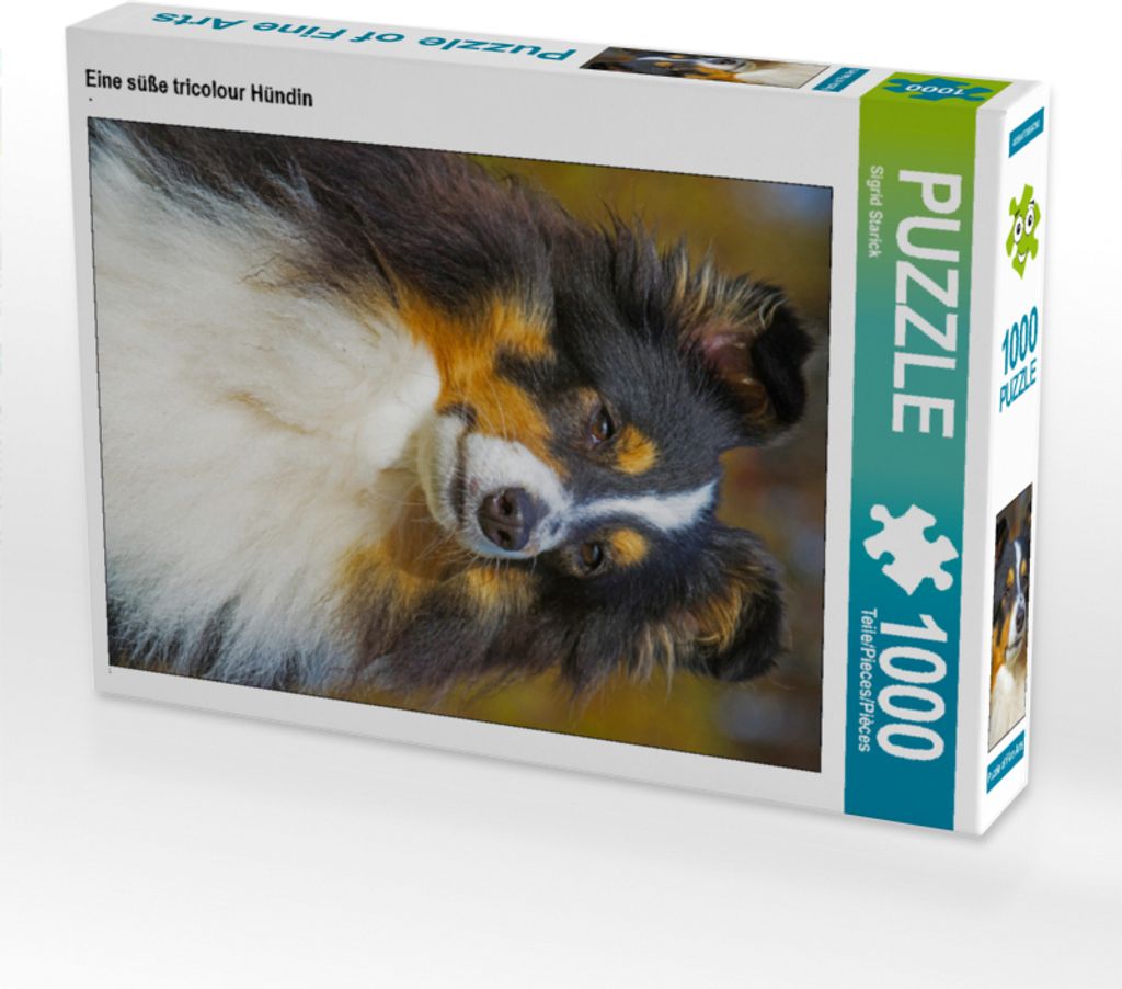 CALVENDO Puzzle Eine süße tricolour Hündin | 1000 Teile Lege-Größe 64x48cm Foto-Puzzle für glückliche Stunden