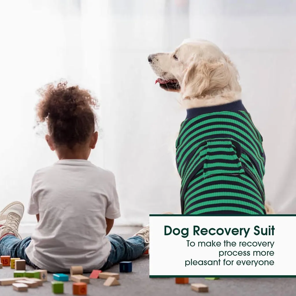 Combinaison de récupération pour chien XXL vert post-stérilisation