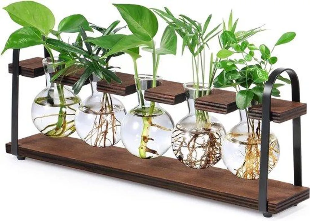 Accessoire de jardinage d'intérieur pour boutures et décor de table