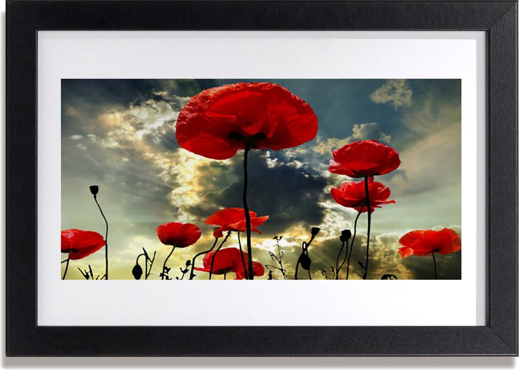 Bild 30x20 MDF-Rahmen Wandkunst Poppies Blumen Natur Pflanze