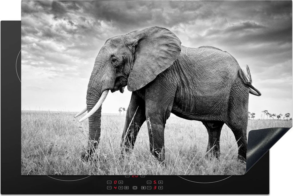 KitchenYeah© Herdabdeckplatte Elefant - Gras - Tiere - Produktbild 