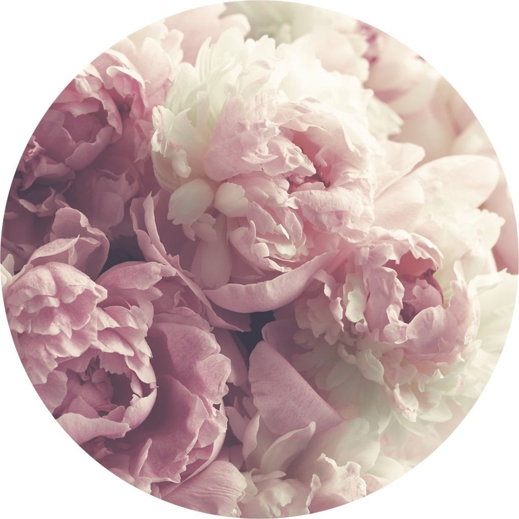 Sticker rund BLUMEN Pfingstrosen Pflanzen Natur 3D Moderne Muster Wanddekoration Wandtattoo Schlafzimmer Büro 100 cm x 100 cm