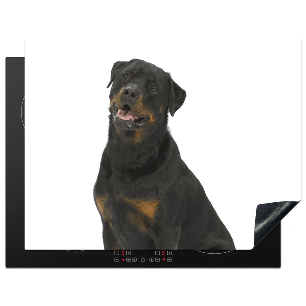 KitchenYeah Herdabdeckplatte Rottweiler auf weißem Hintergrund , 77x59cm, Küche Deko, Glaskeramikkochfeld Herdabdeckung, Abdeckplatte fùr Koch...