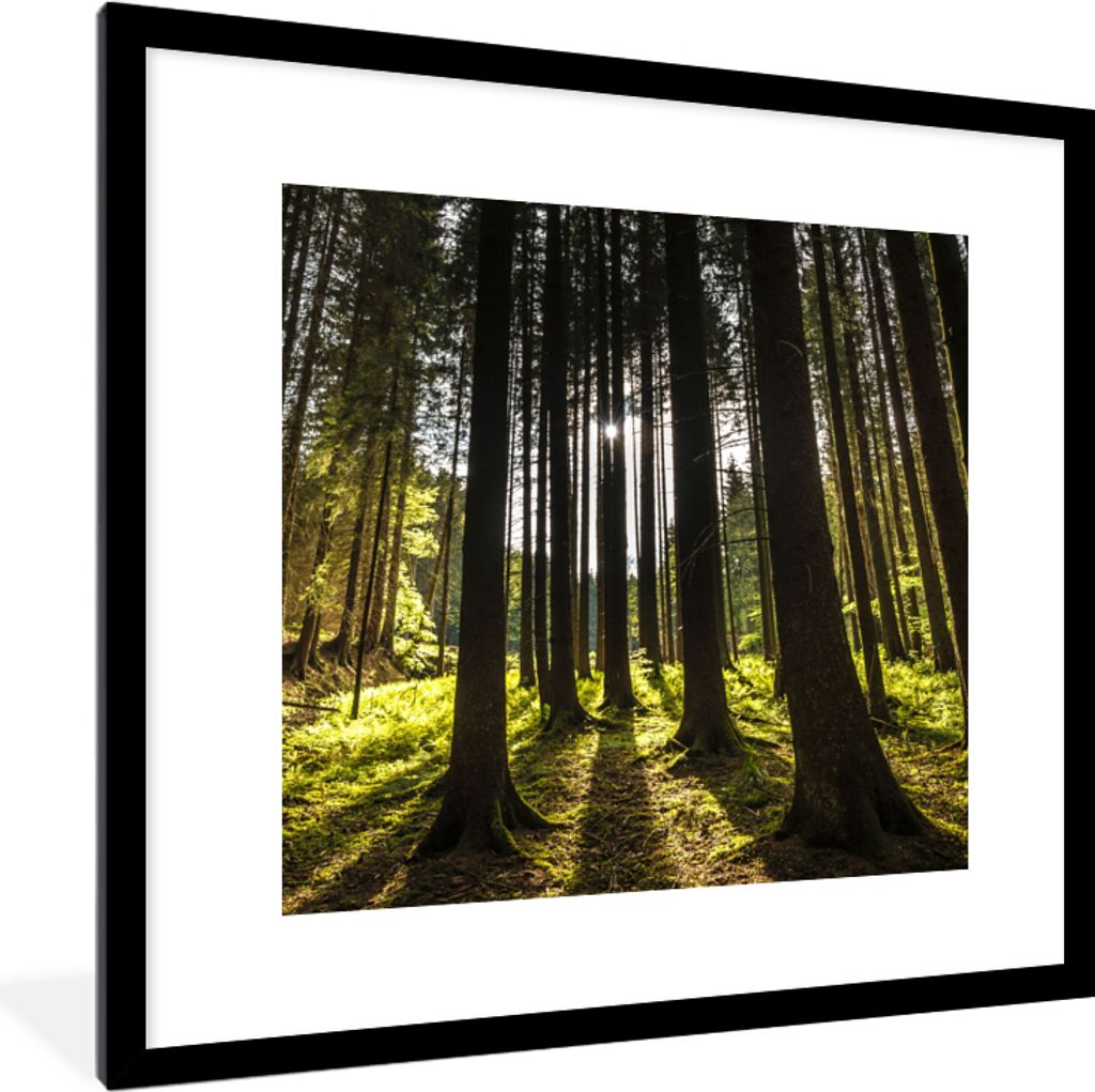 MuchoWow Gerahmtes Poster Baum - Natur - Sonne - Wald 40x40 cm - Poster mit Schwarzem Bilderrahmen Wandposter Rahmen Foto Bilder - Poster - Plaka...