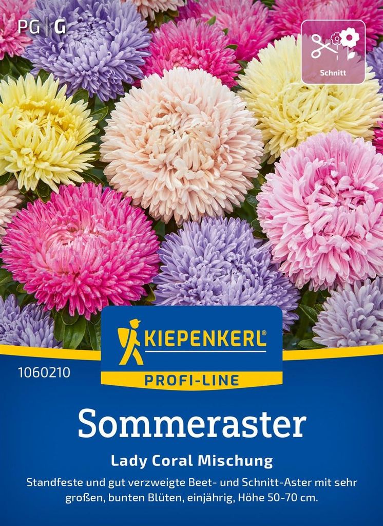 Kiepenkerl Profi-Line Blumensamen Sommeraster Lady Carol Produktbild 