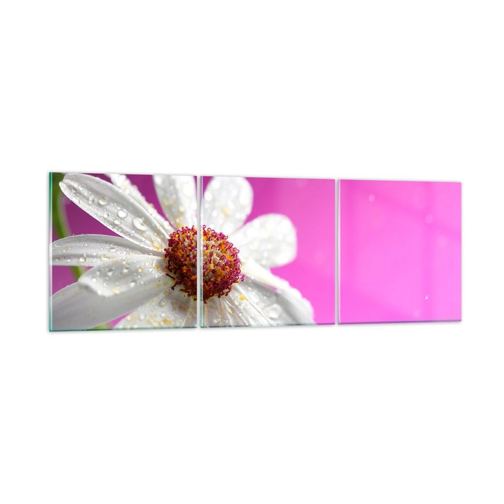 Bilder auf glas - Blume frühling garten - 90x30cm - Glasbilder - Wandbilder - Kunstdruck - zum Aufhängen bereit - Wanddekoration aus Glas - Glas ...