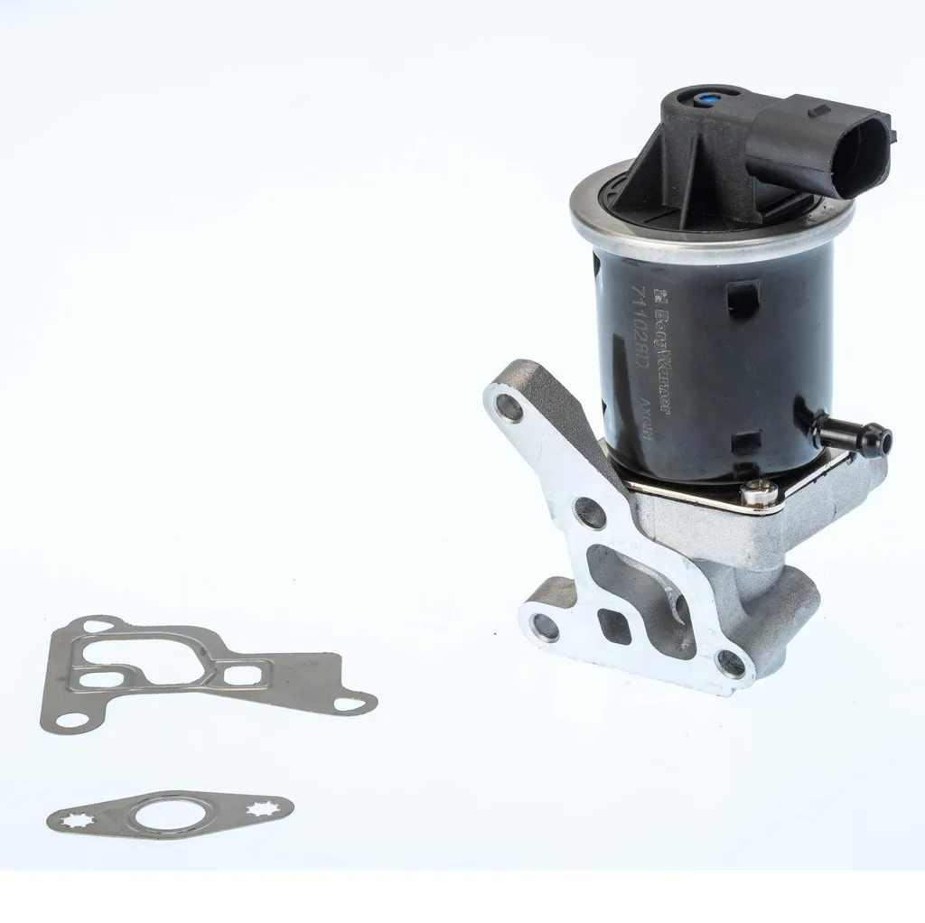 Vanne EGR Wahler 711028D Haute Performance avec Joint pour VW Lupo