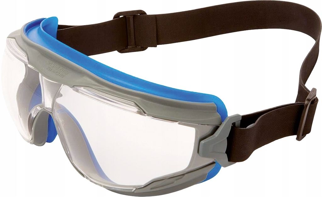 3M Goggle Gear 500 GG501NSGAF-BLU Vollsichtbrille inkl. Antibeschlag-Schutz Blau, Grau DIN EN 166 (GG501NSGAF-BLU)