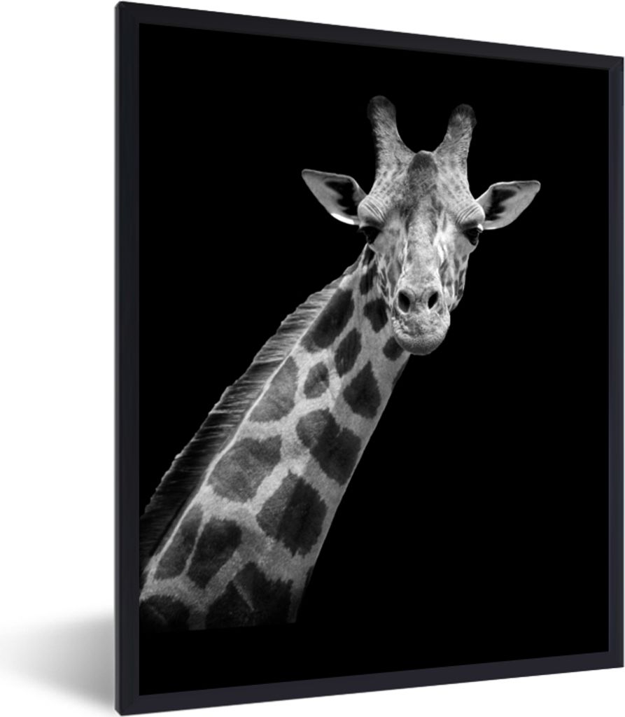 MuchoWow Gerahmtes Poster Giraffe - Wildtiere - Schwarz-Weiß - Porträt 30x40 cm - Poster mit Schwarzem Bilderrahmen Wandposter Rahmen Foto Bild...