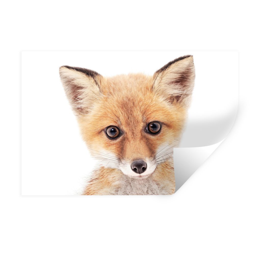 MuchoWow Wandtattoo Wandsticker Wandaufkleber Fuchs - Tiere - Orange - Natur 60x40 cm Selbstklebend und Repositionierbar - Wierderverwendbar - Se...