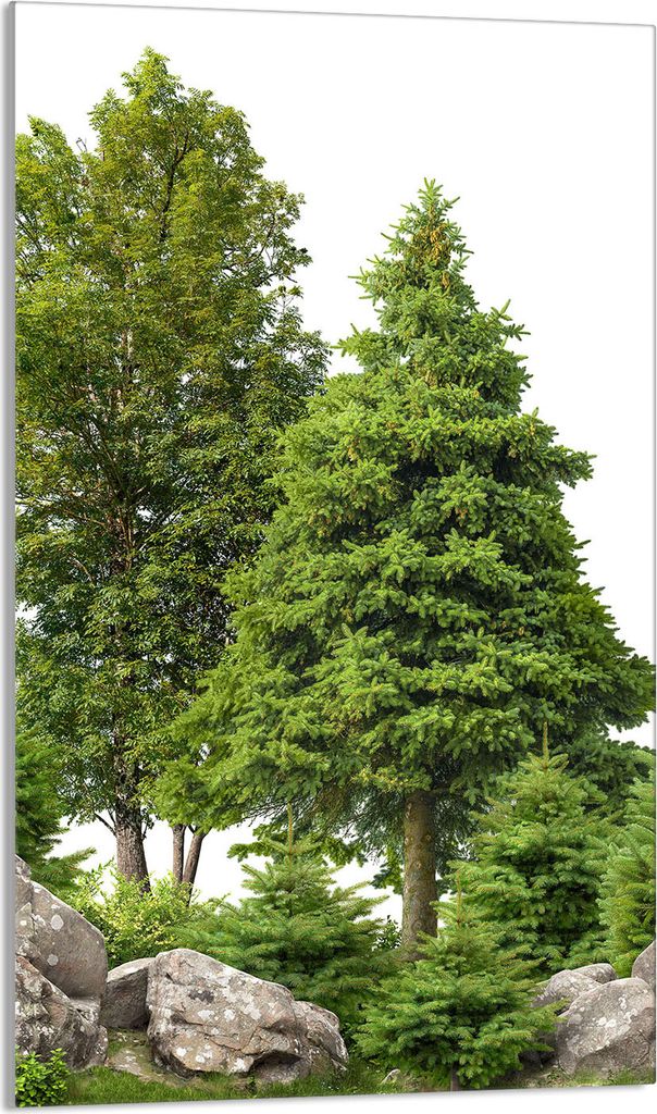 Herdabdeckplatte 30x52 Glaskeramikkochfeld Abdeckung Spritzschutz Glasplatte Deko Schneidebrett, Wald Grün